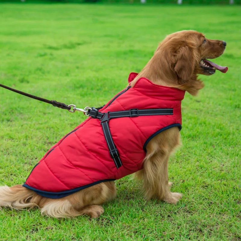 Chaqueta impermeable para perro - Scandia