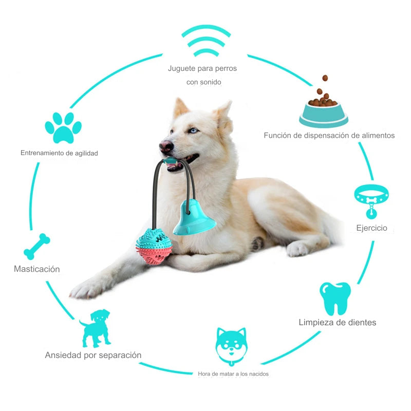 Bola de perro - Presentamos el Juguete Masticable para Perros y Comedero Ansiedad.